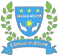 Clinton Institute