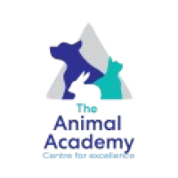 The Animal Academy